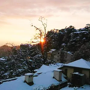 https://the-thistle-lodge.shimlahotels.net